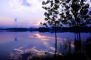 光影与速度的交汇 易车摄影社区的独特魅力