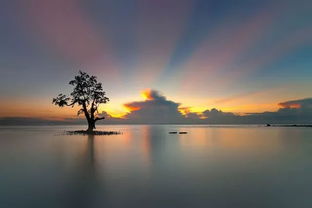 70幅光影诗篇 自然与风光摄影的视觉盛宴