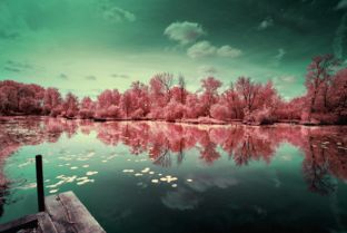 红外摄影 捕捉光影之外，勾勒出世外桃源般的自然秘境